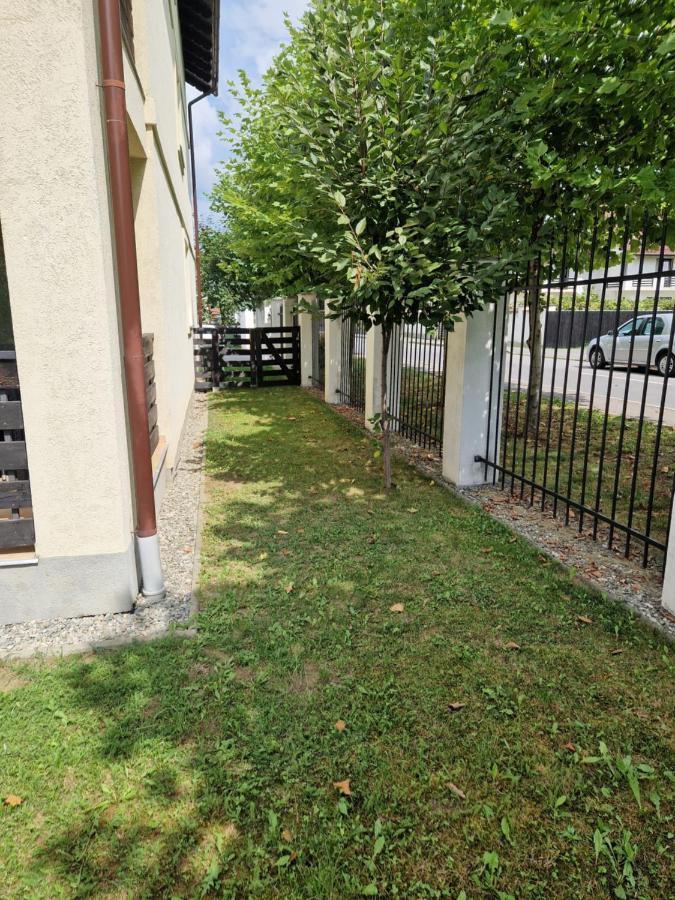 Apartament Apartament Luxury Irina Râșnov Zewnętrze zdjęcie